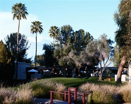 Cottonwoods &